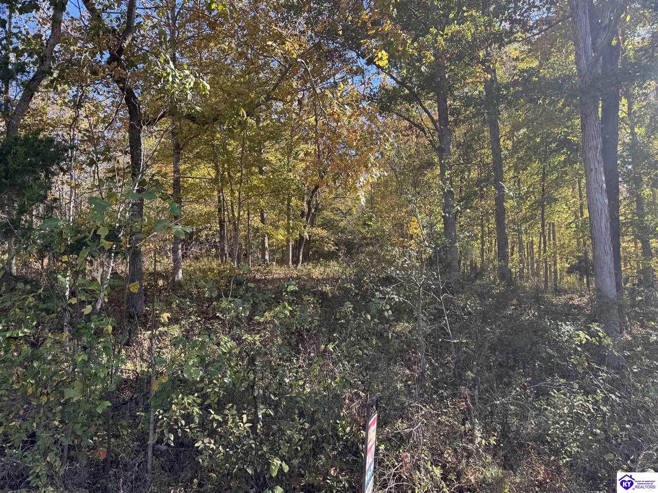 Lot 2 Cann School Lane - Photo 1