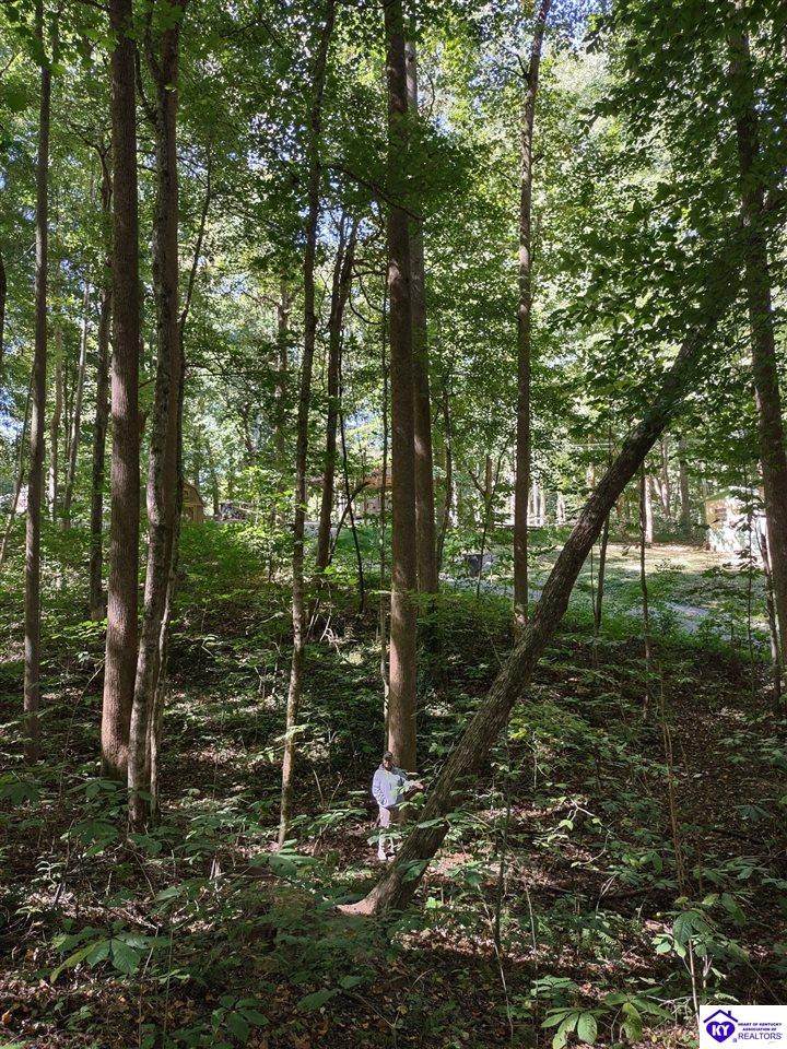 71 Bull Frog Trail - Photo 1