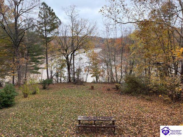 512 Hornback Mill Ext. Lane - Photo 1