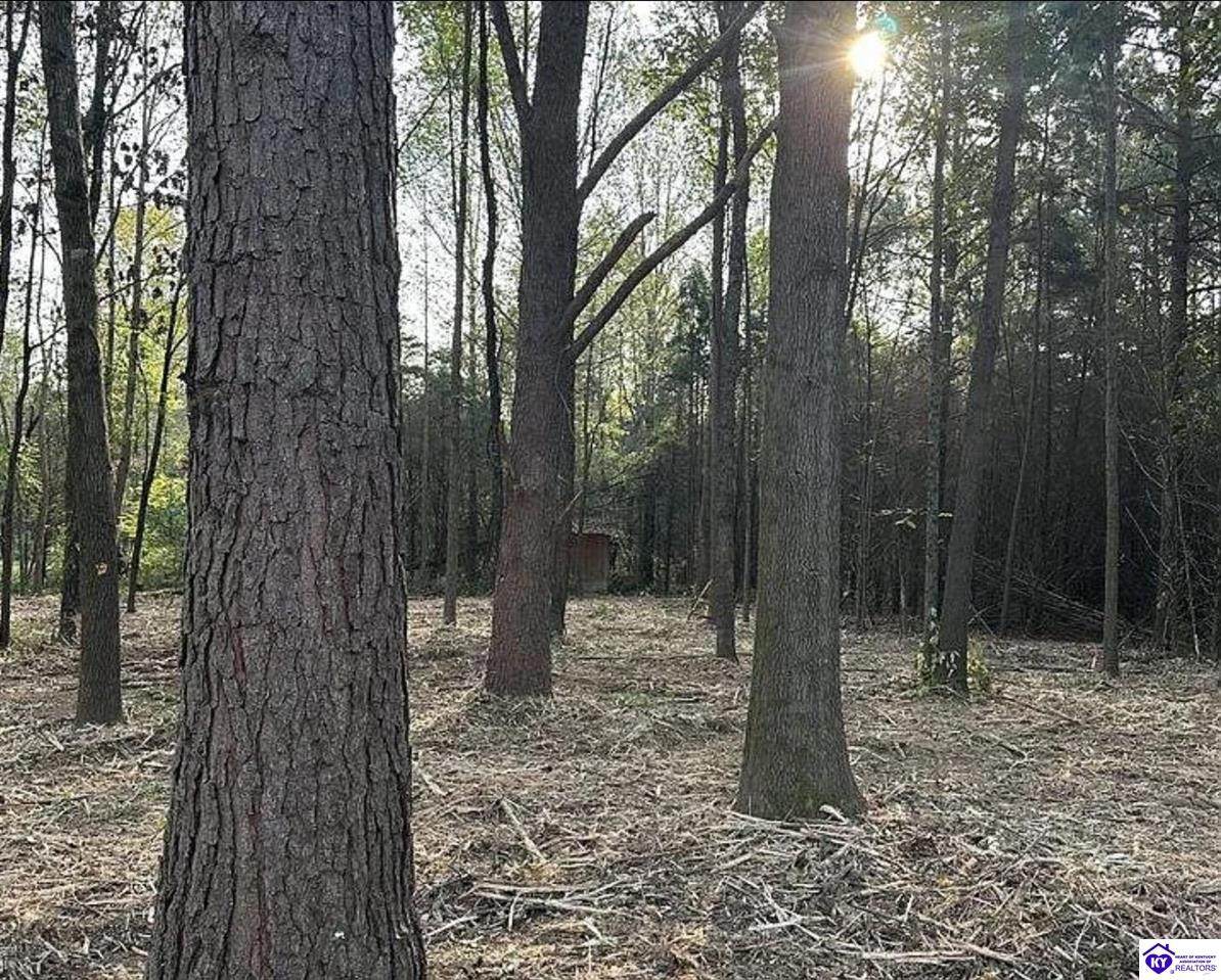 133 Sassy Ct - Photo 1