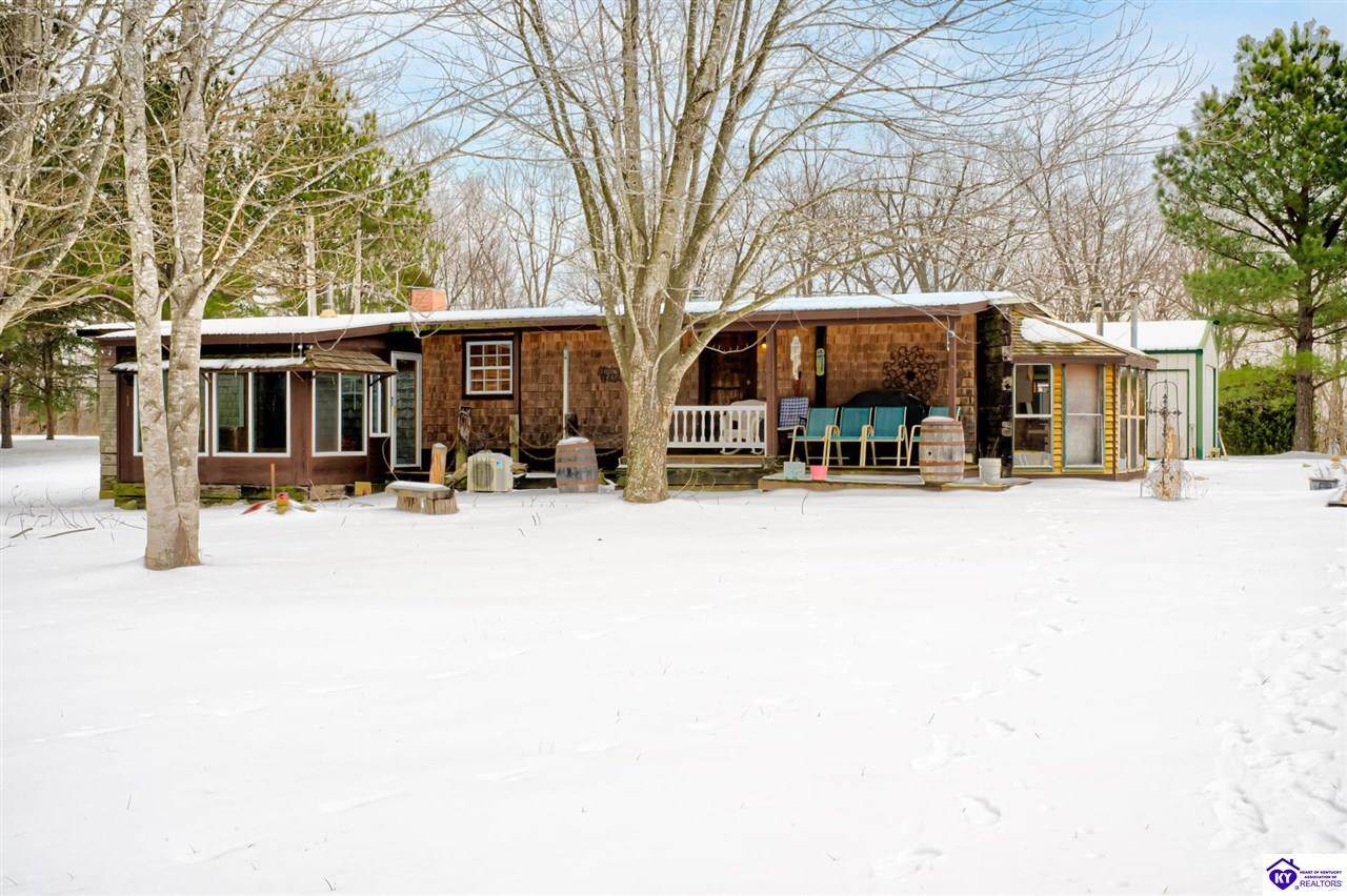 730 Thomason Cemetery Road - Photo 1