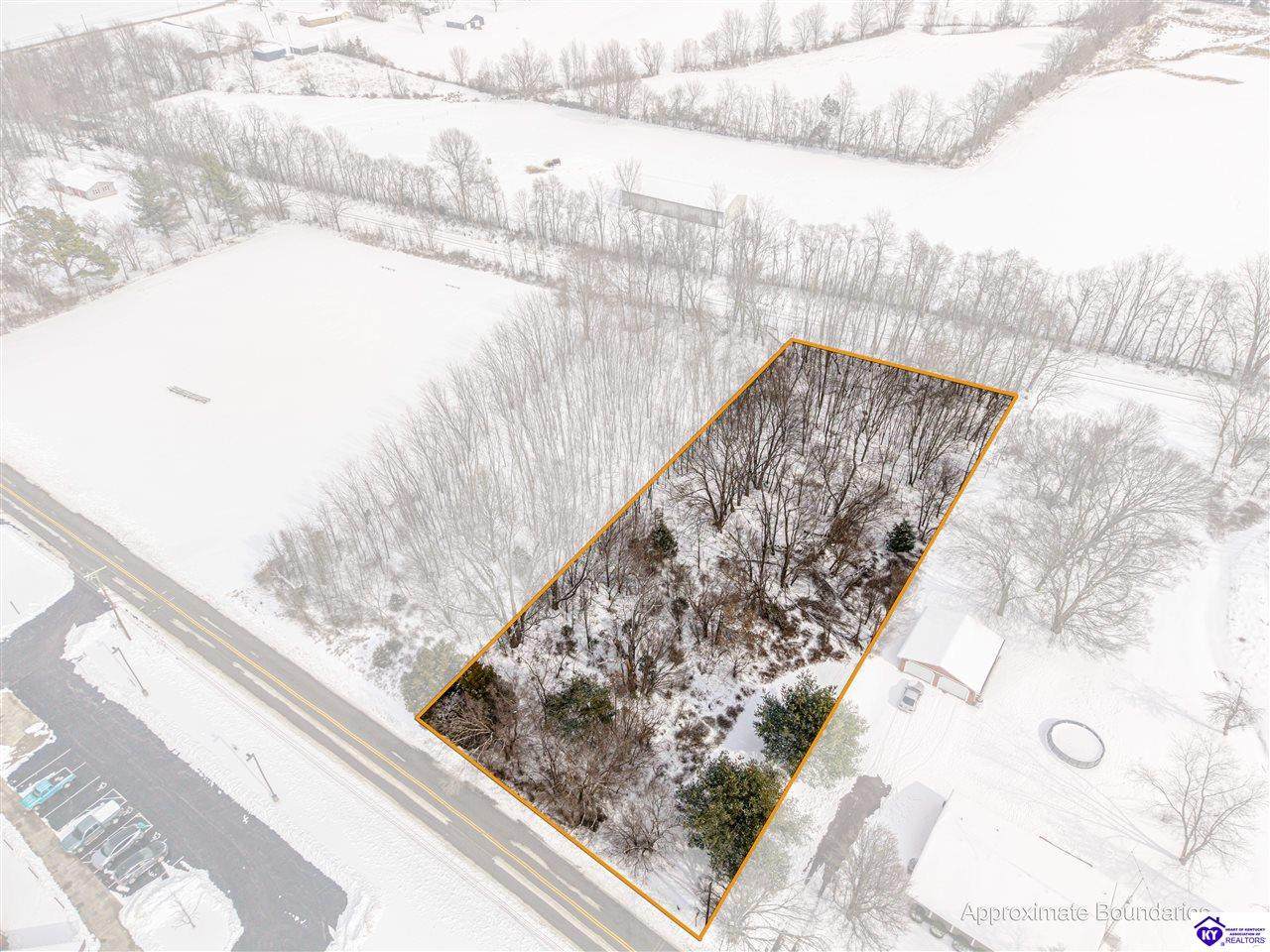 LOT 1 CW Acres Rineyville School Road - Photo 1