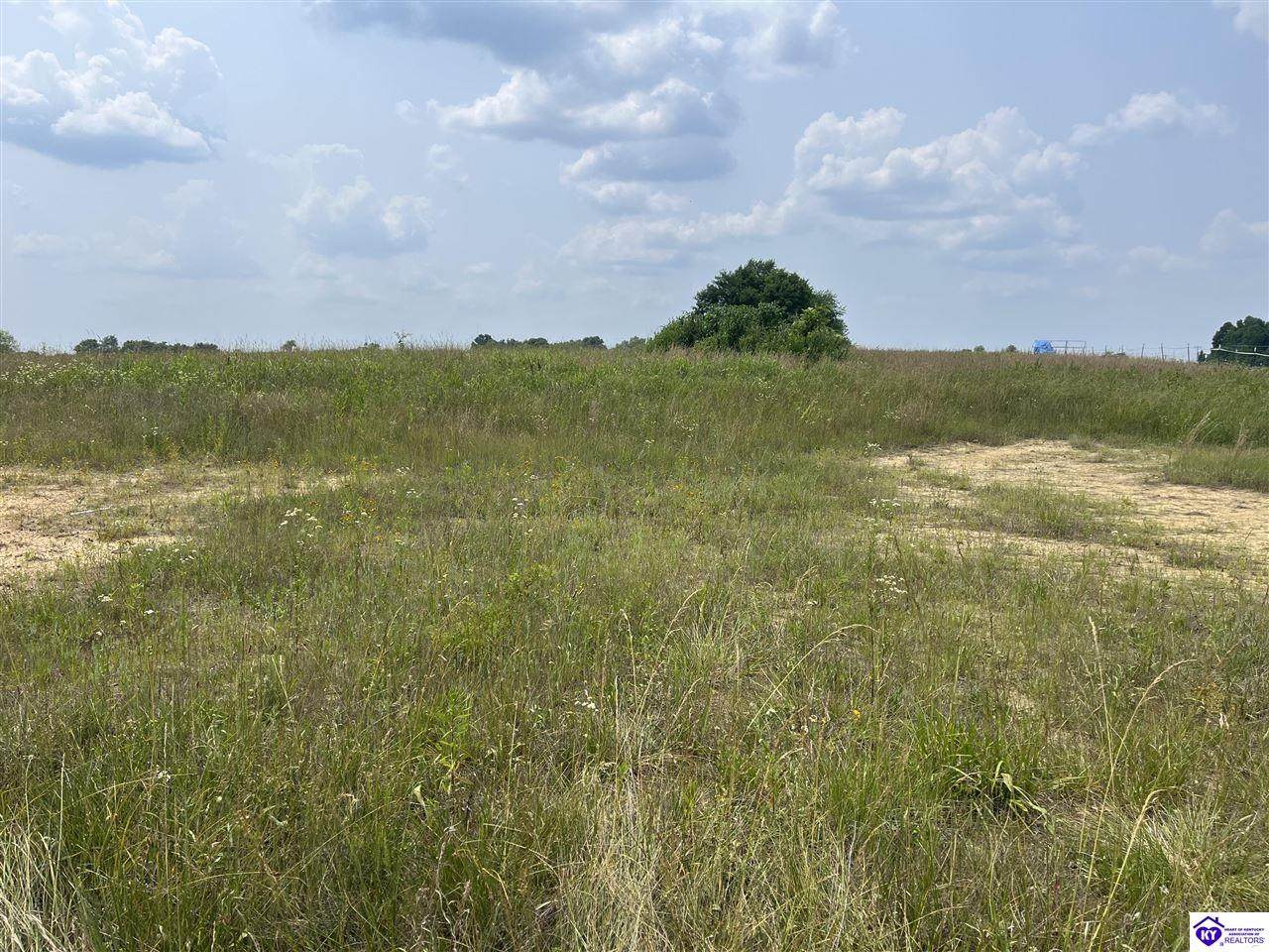 8410 Hardinsburg Road - Photo 1