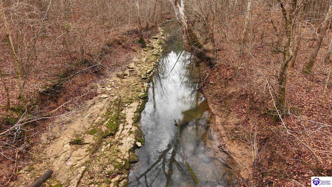 181 Abbey Lane - Photo 1