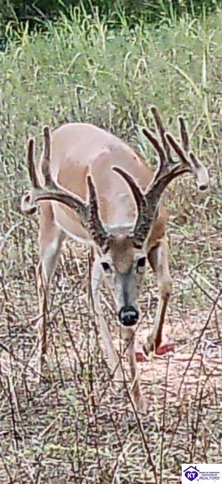 TRACT 3 Price Hill Spur Road - Photo 1