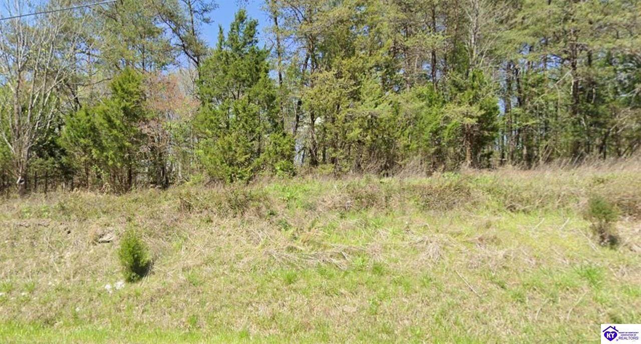 0.23 AC Brier Creek Road - Photo 1