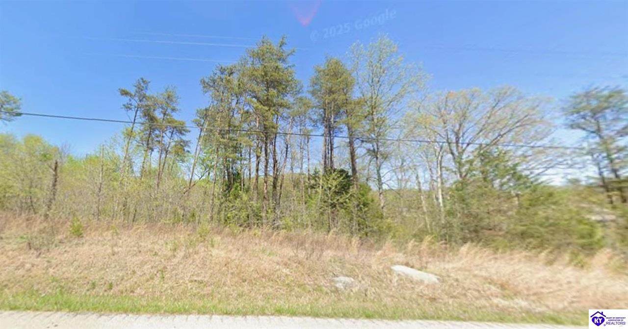 1.68AC Brier Creek Road - Photo 1