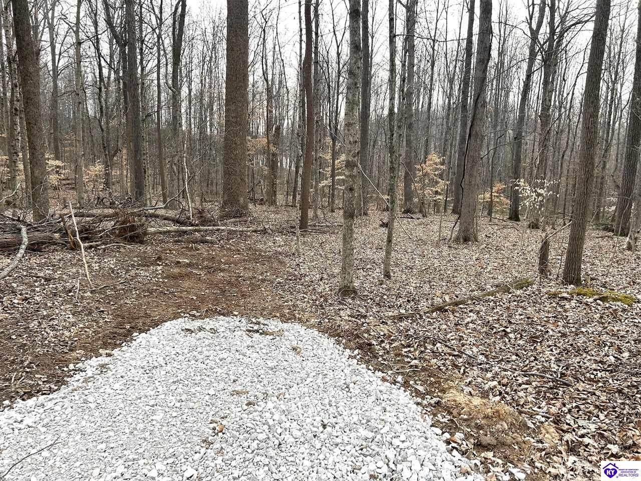 2525 Salem Lake Road - Photo 1