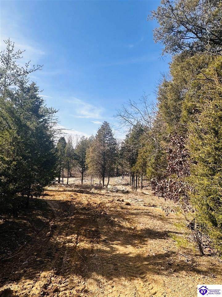 350 Cave Creek Road - Photo 1