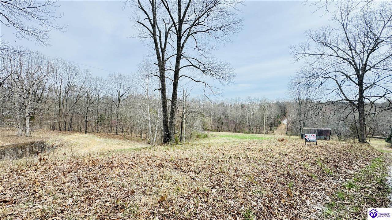 425 Macedonia Road - Photo 1
