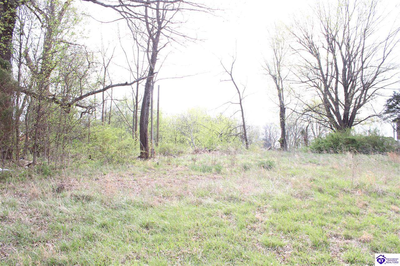 6736 Dixie Highway - Photo 1