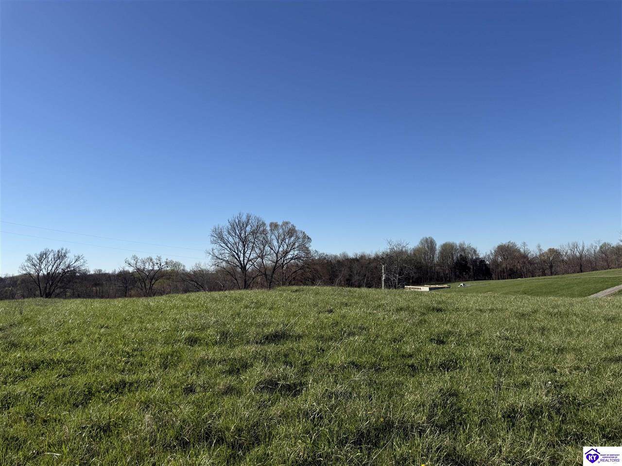 LOT 3 & 4 Willie Nell Road - Photo 1