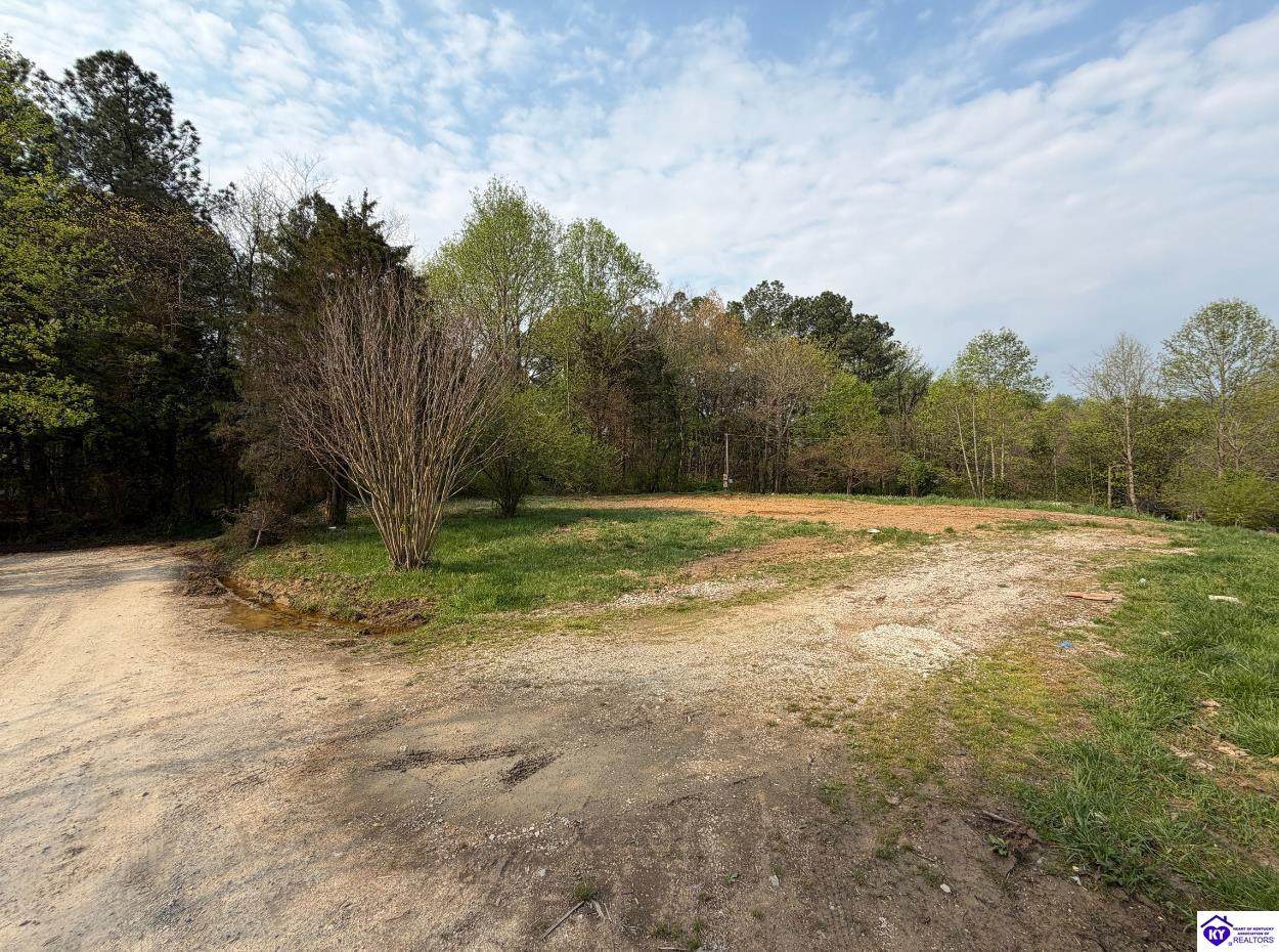 3313 Sportsman Lake Road - Photo 1