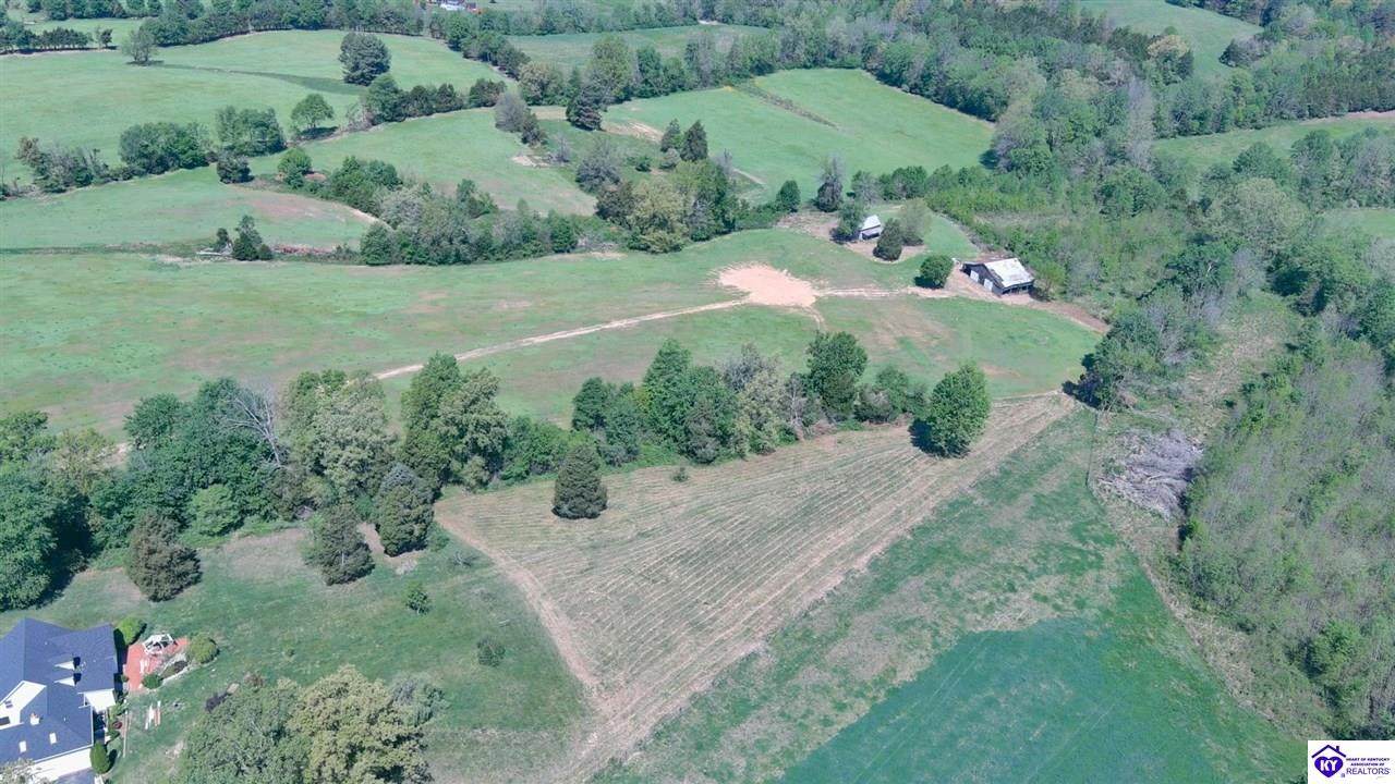 Tract 10 Campbellsville Road - Photo 1