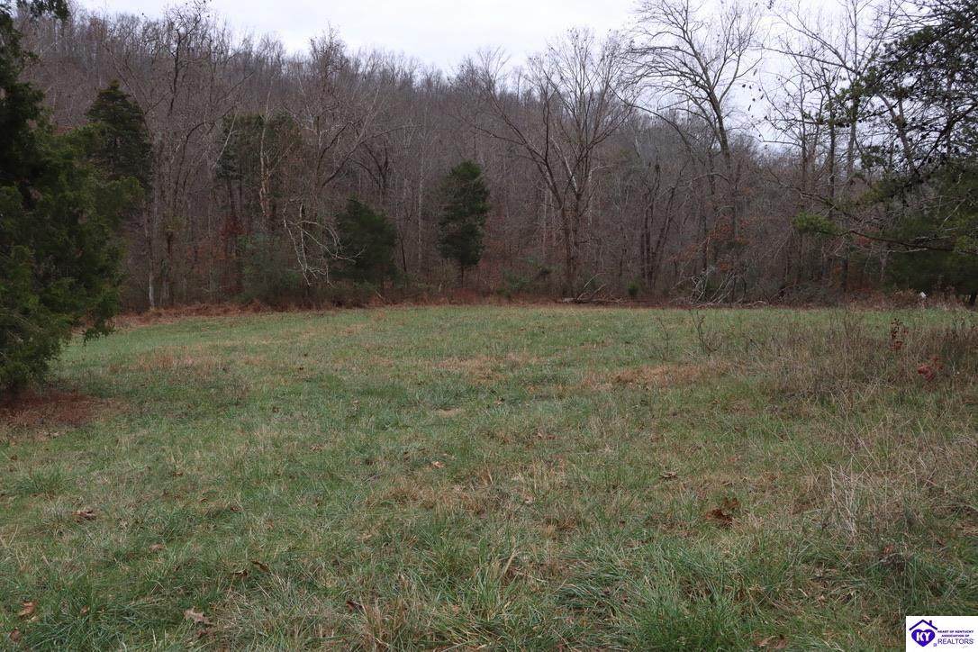 0 Fisher Ridge Road - Photo 1