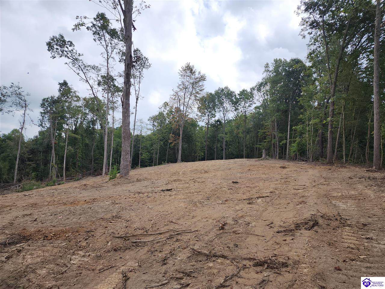 Tract 1 Leitchfield Road - Photo 1