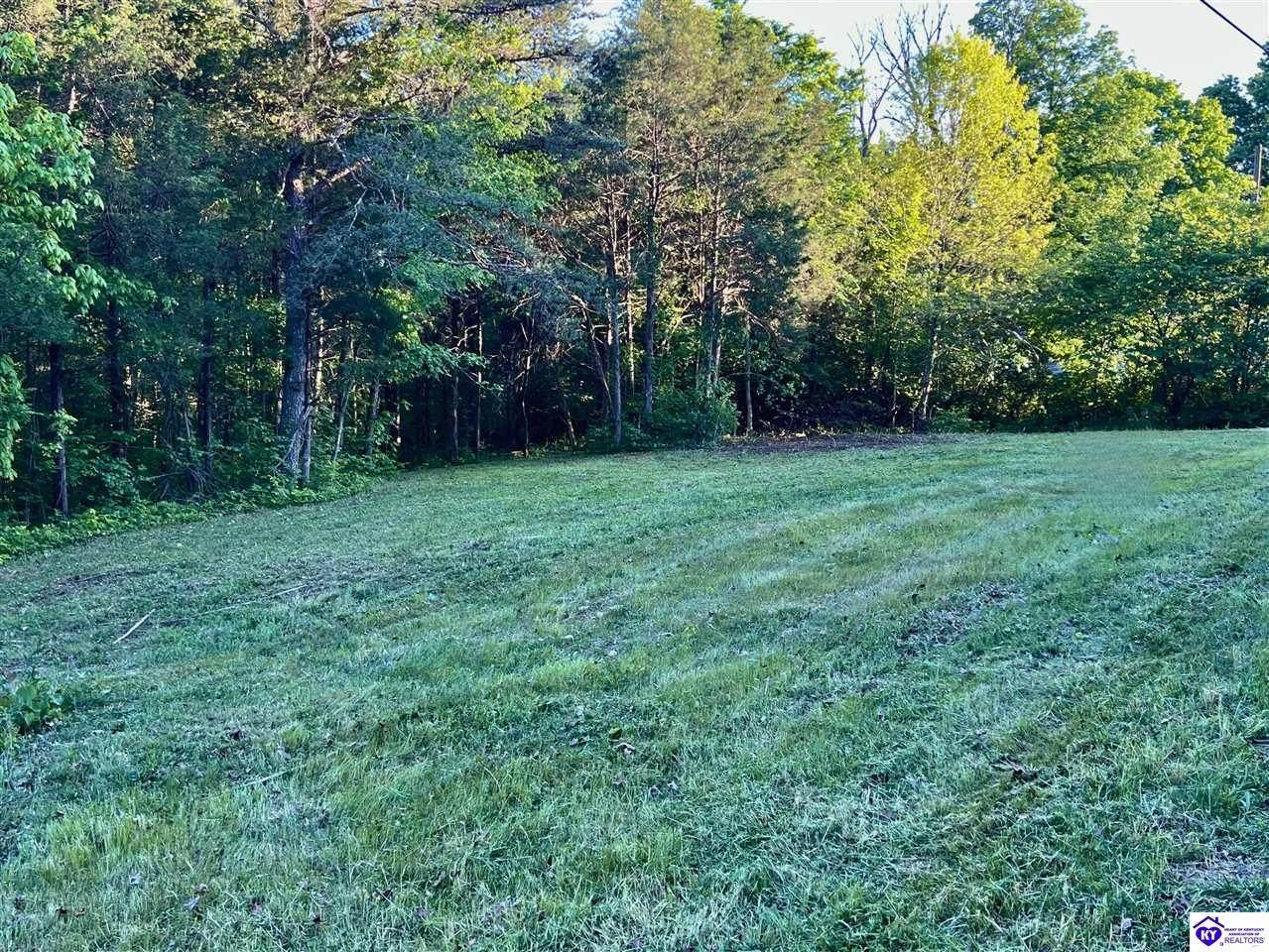 Lot 3 Robert Taylor Lane - Photo 1