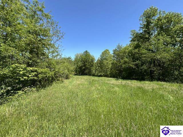 21.99 ac Jack Chappell Road - Photo 1
