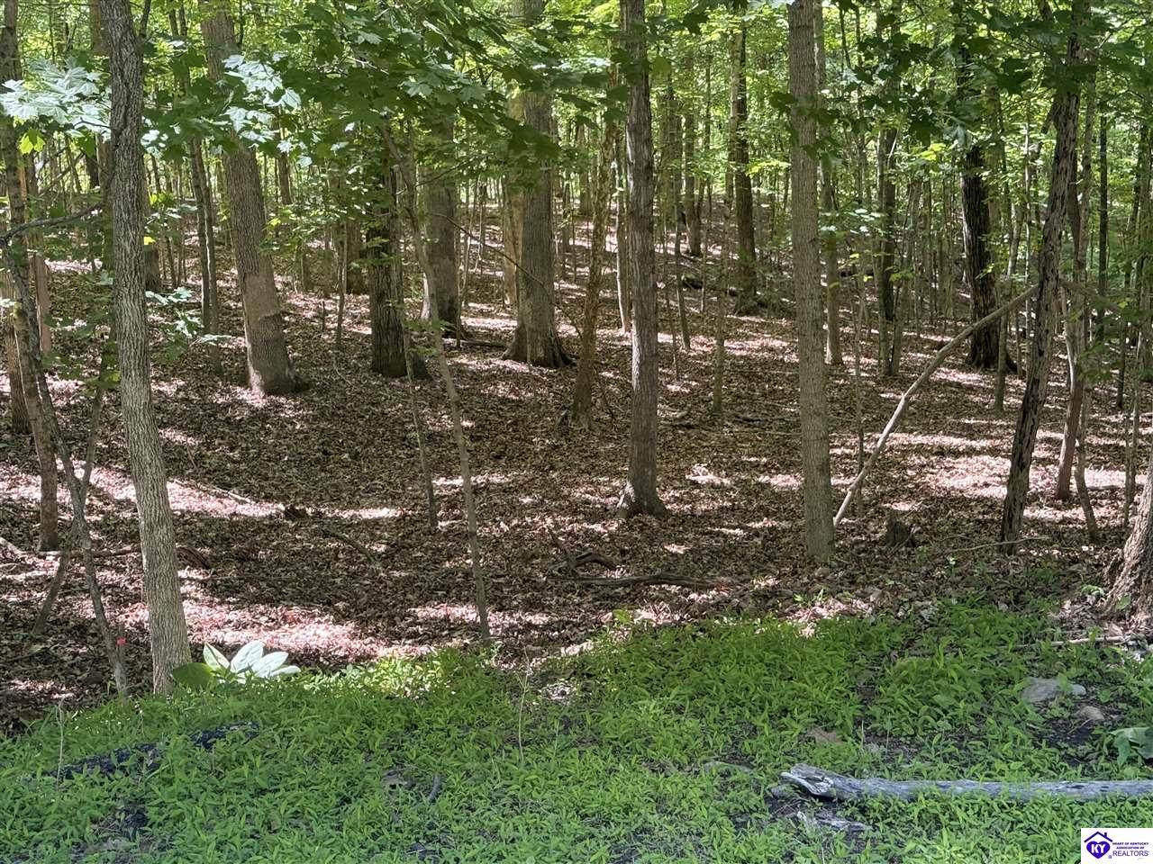 Lot 569 Raspberry Court - Photo 1