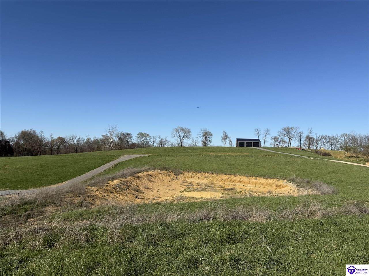 Lot 4 Willie Nell Road - Photo 1