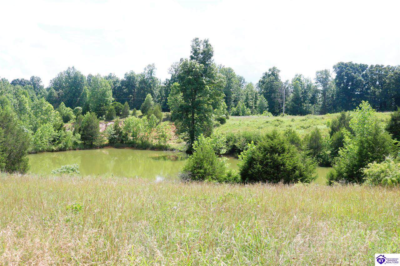 0 Levi Beam Road - Photo 1