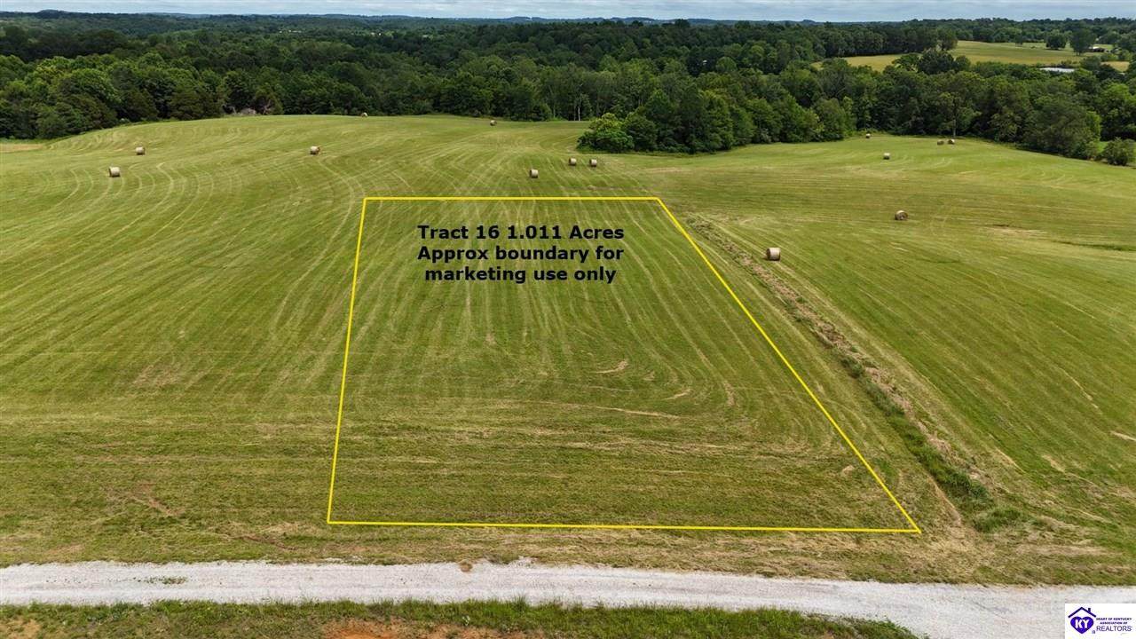 Tract 16 Moore Farm Road - Photo 1
