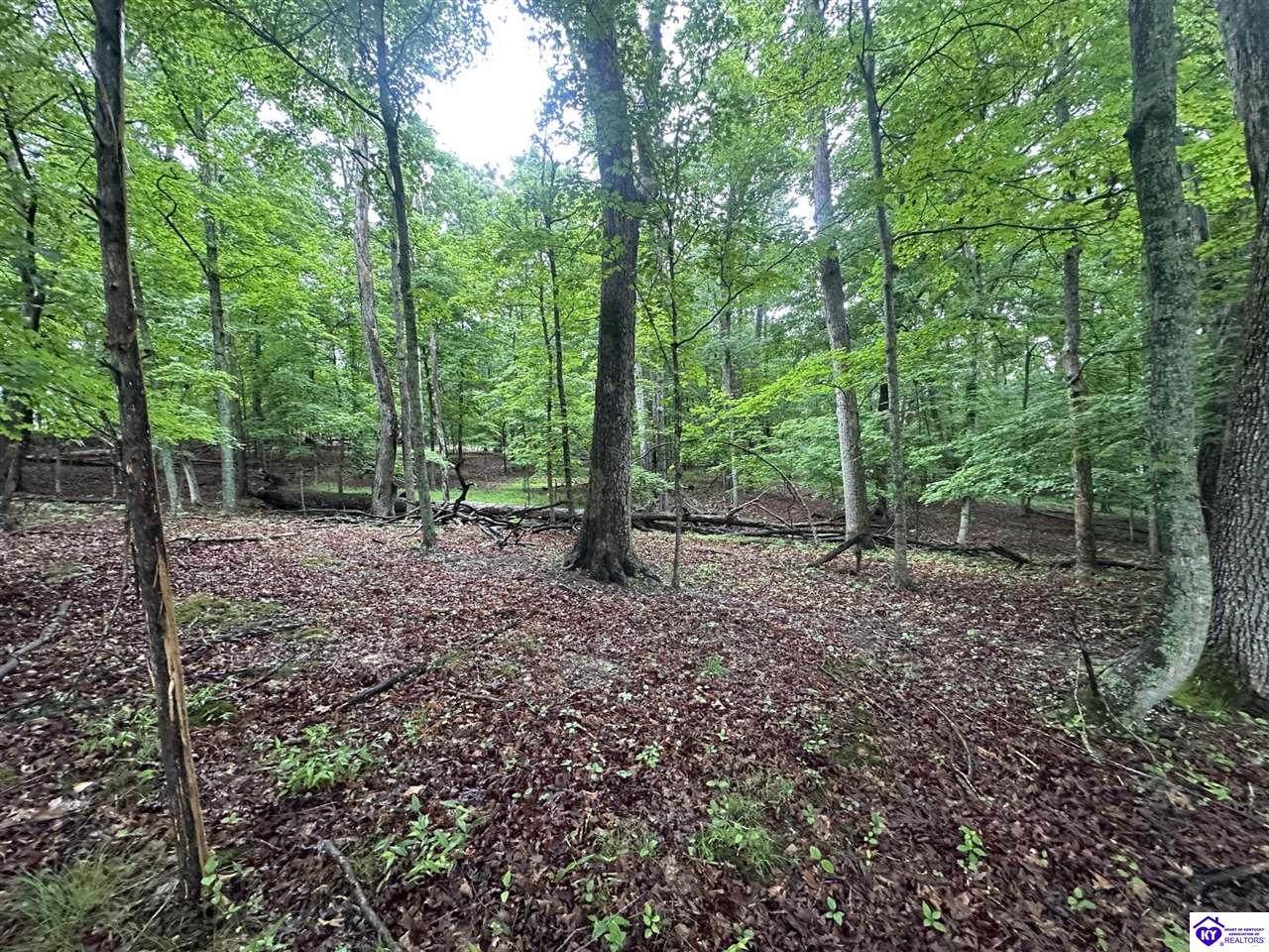 0 Red Wing Road - Photo 1