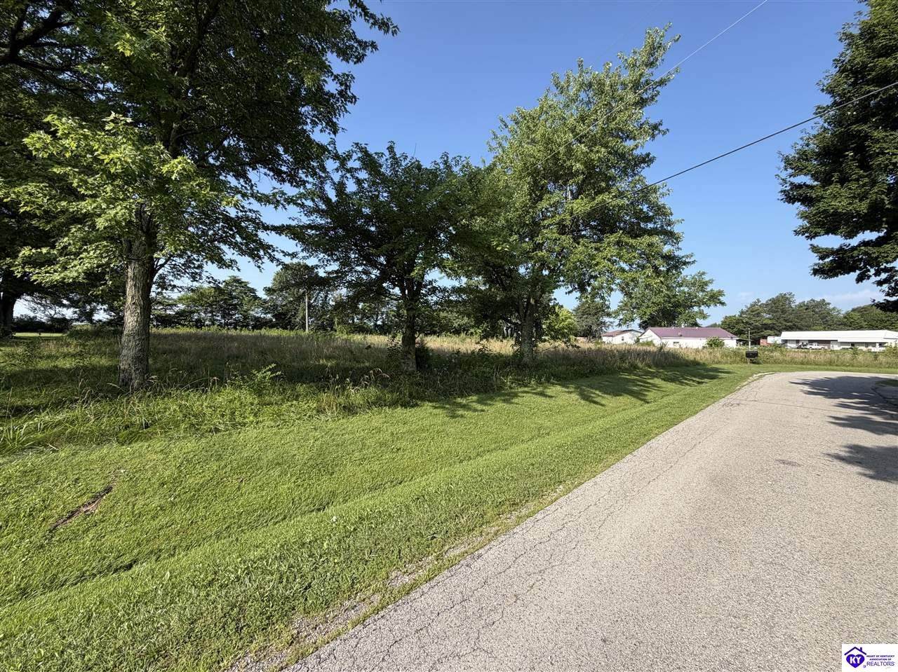 54 Meadow View Loop - Photo 1