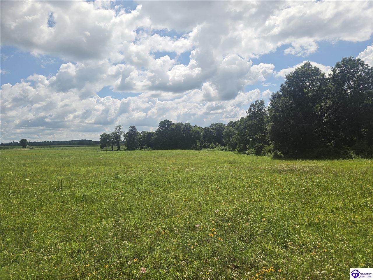 parcel 4 Lyons-Daugherty Road - Photo 1