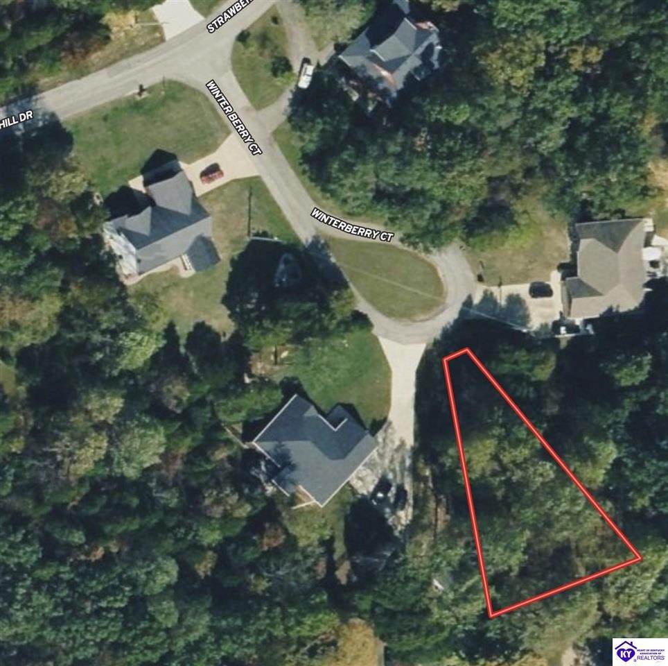 Lot 707 Winterberry Court - Photo 1