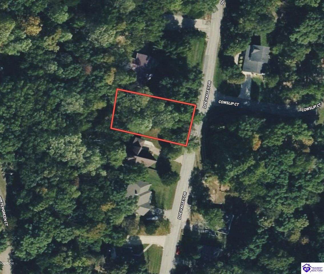 Lot 726 Doe Valley Parkway East - Photo 1