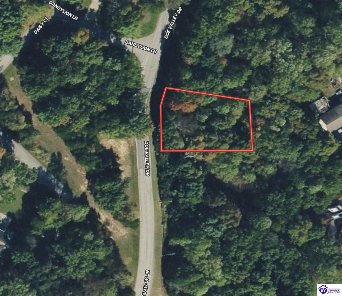 Lot 794 Doe Valley Parkway East - Photo 1
