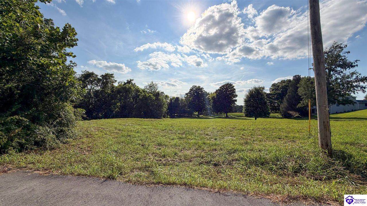 Lot 39 Brushy Fork Drive - Photo 1