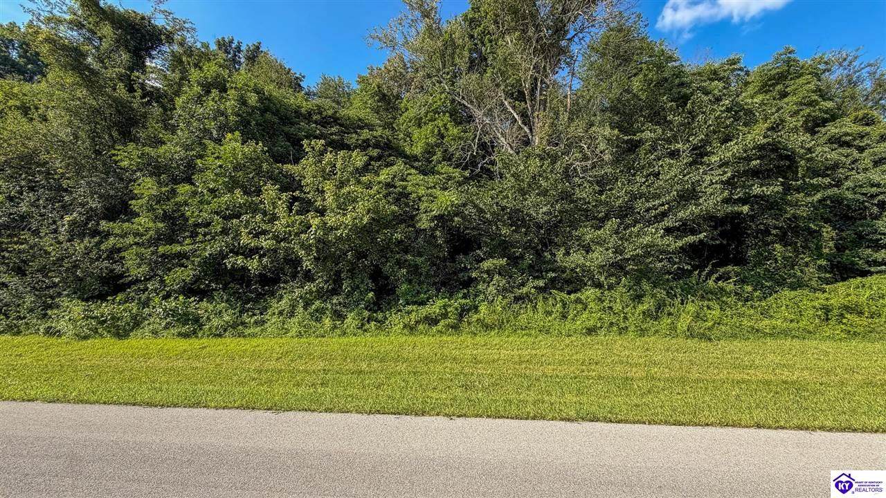 Lot 71 Edgebrook Drive - Photo 1