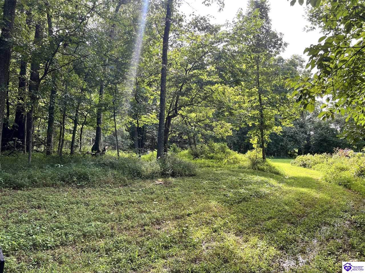 Tract G Sutzer Creek Road - Photo 1