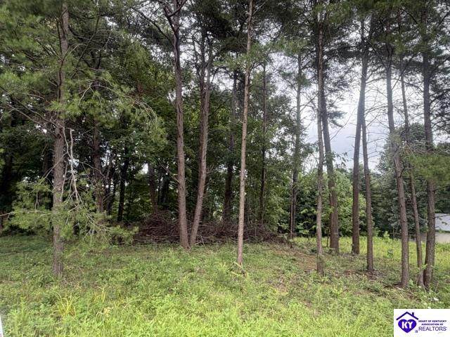 0 Paulette Way - Photo 1