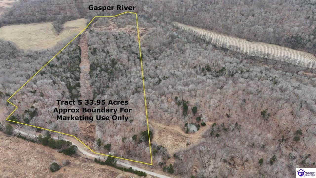 Tract 5 Wand Cemetery Road - Photo 1