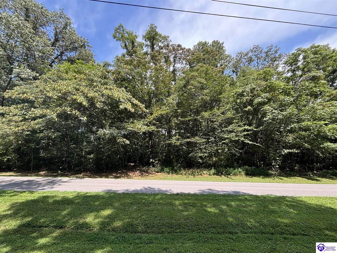 100 Barwater Road - Photo 1