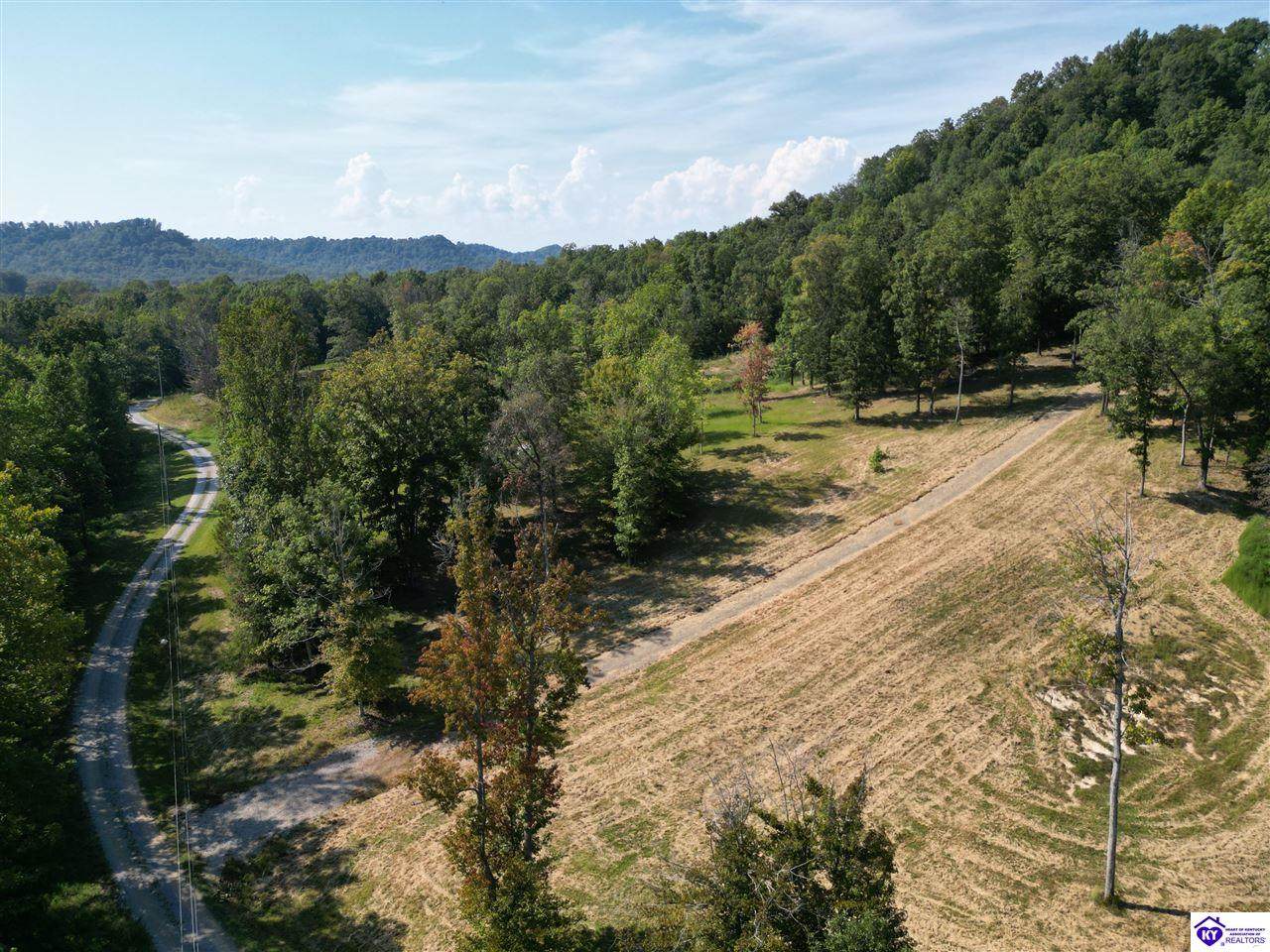 TRACTS 2 & 3 Moores Creek Road - Photo 1