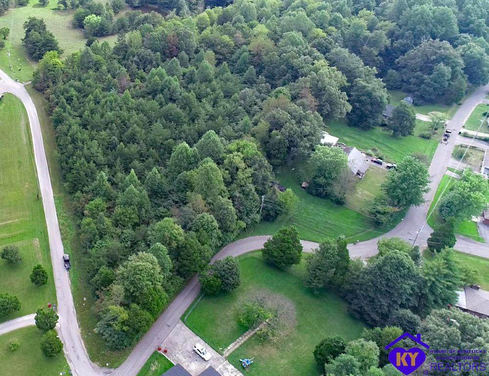 Tract C Cedar Hill Drive - Photo 1