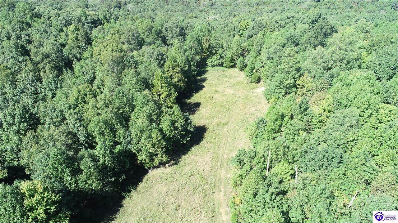 0 Pace Road - Photo 1