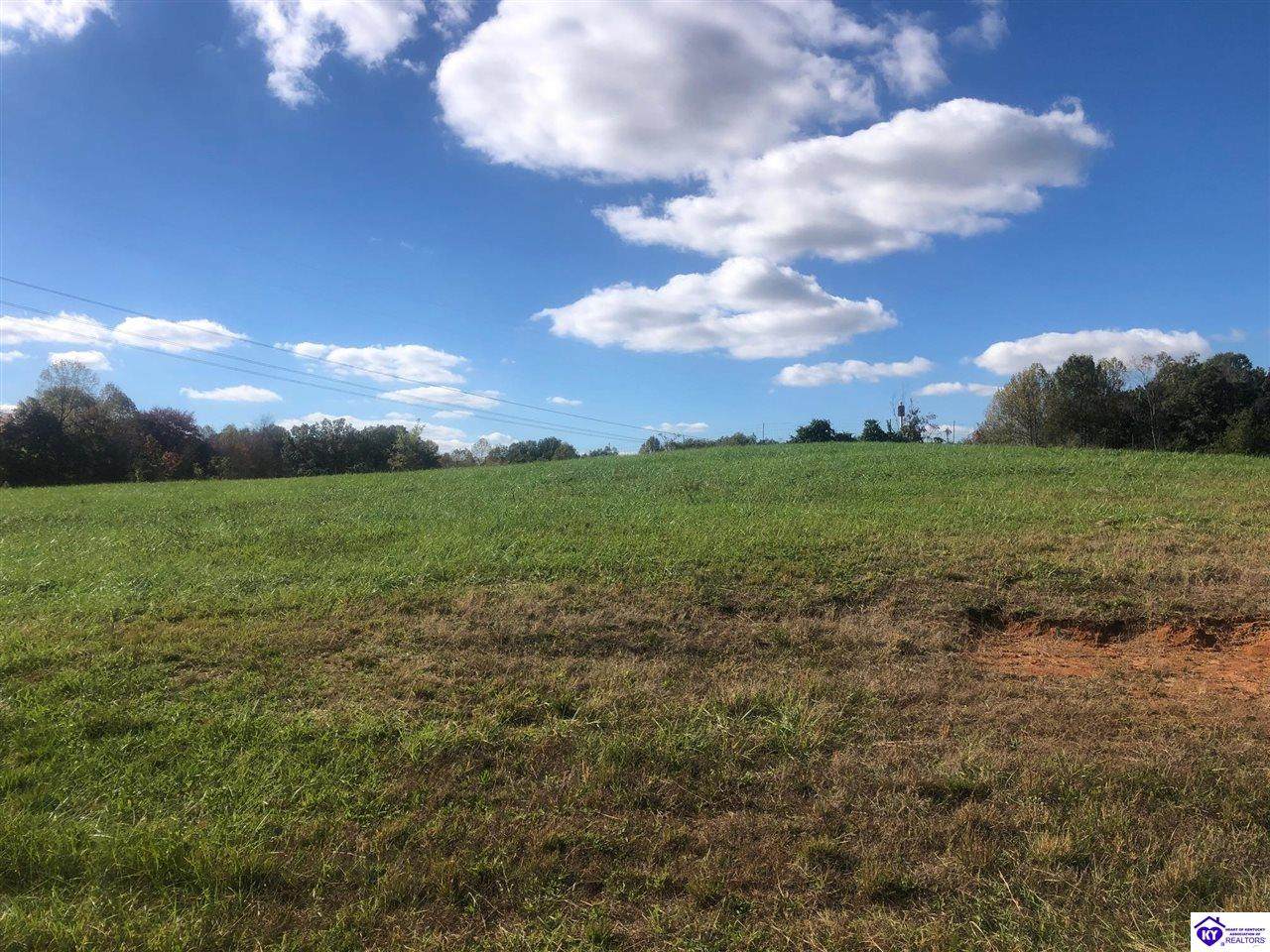53 Palmetto Loop - Photo 1