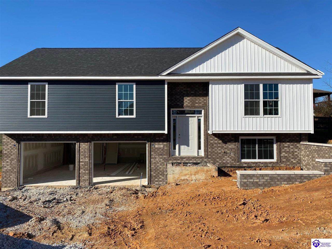 305 Brushy Fork Drive - Photo 1