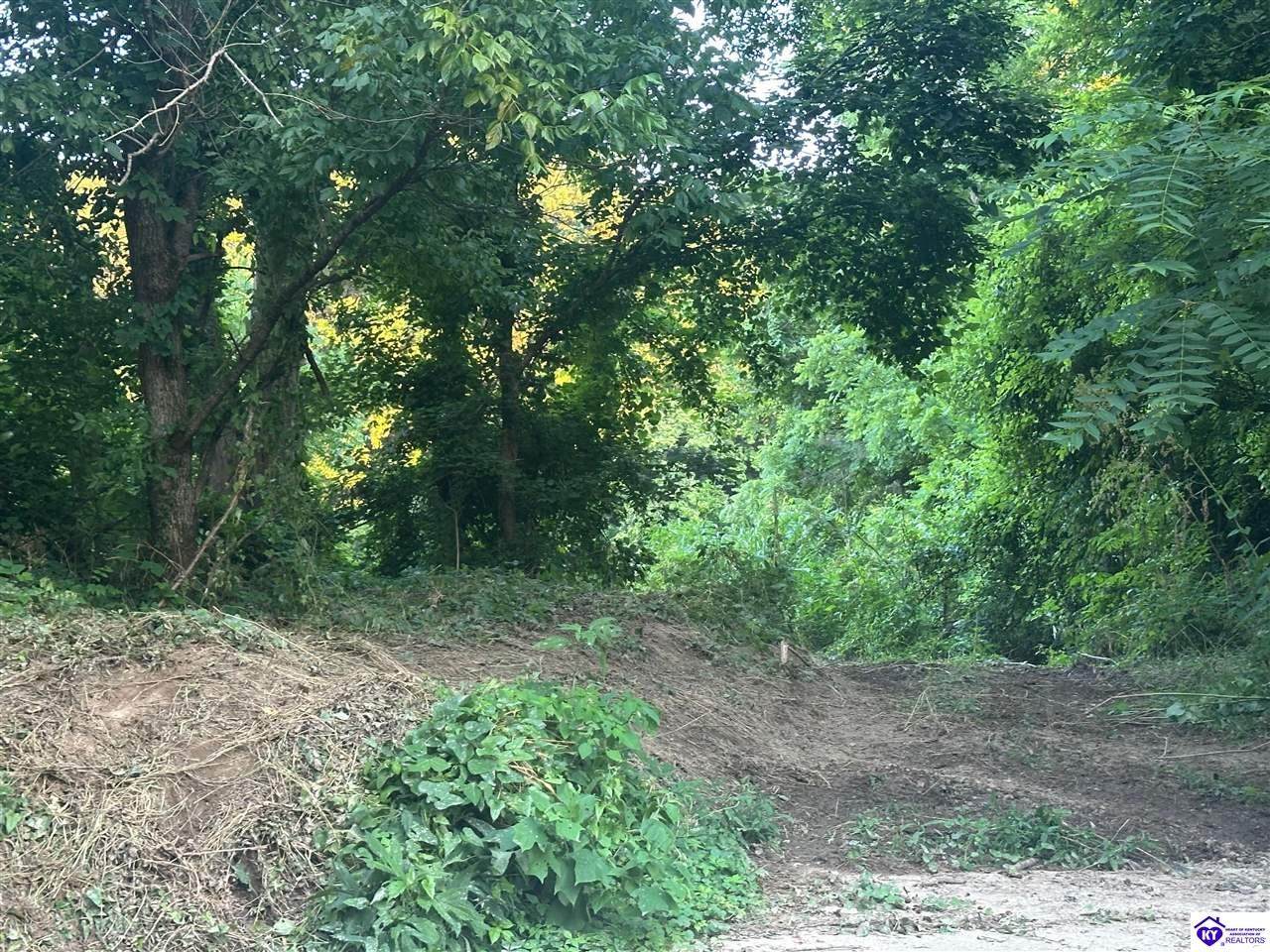 0 Highway 49 - Photo 1