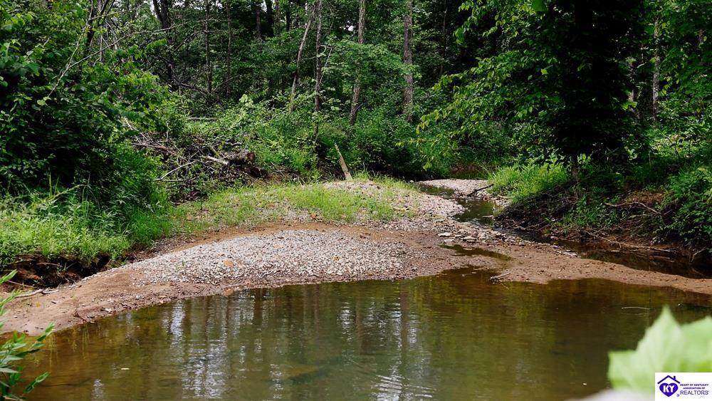 Tract 1 Cook Lane - Photo 1