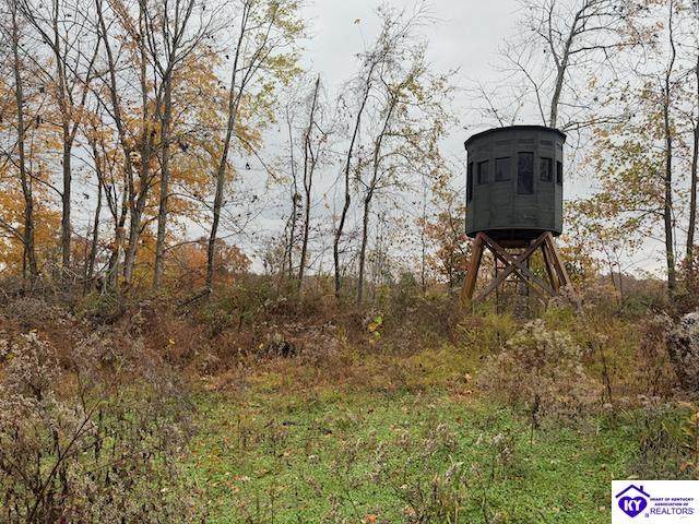 Tract 7 Cook Lane - Photo 1