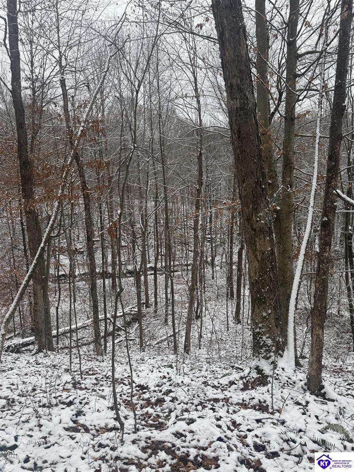 0 Hawkins Lane - Photo 1