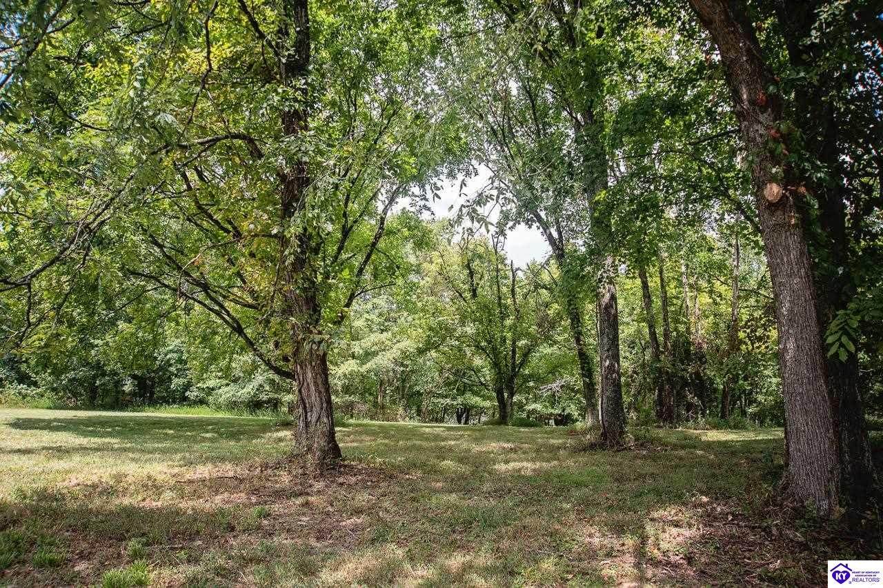 13300 Scottsville Road - Photo 1