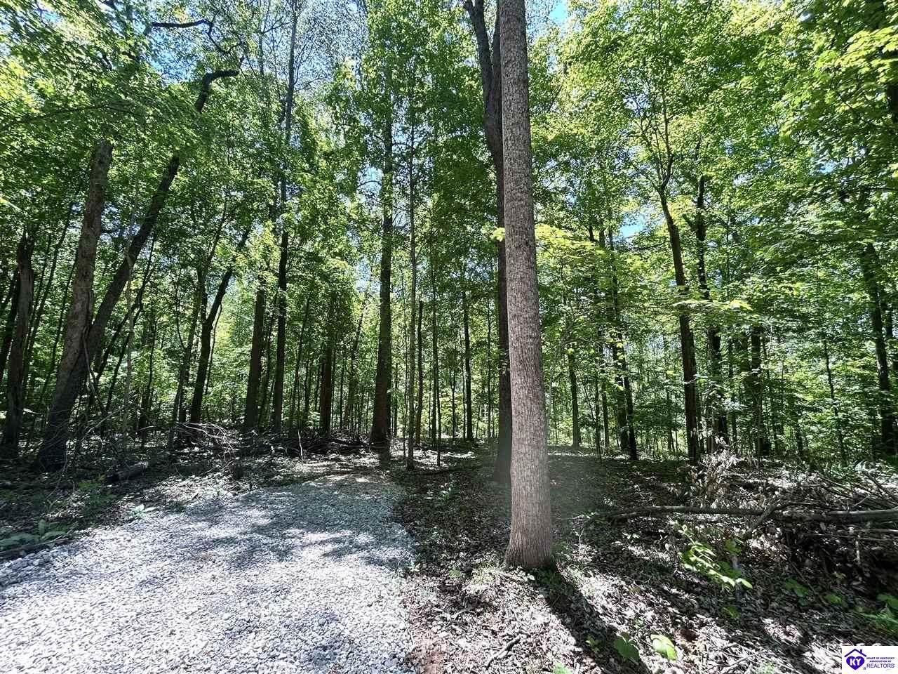 2525 Salem Lake Road - Photo 1