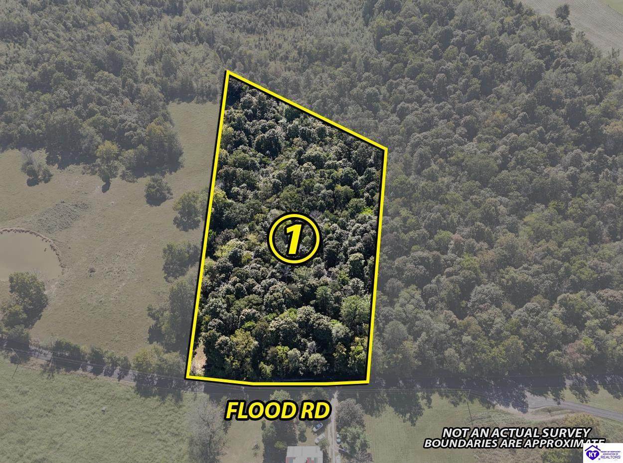 1041 Flood Road - Photo 1